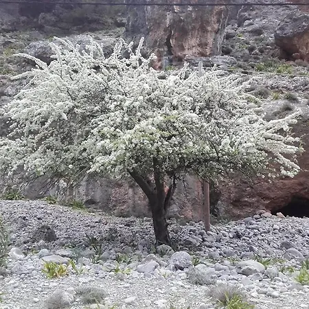 φαράγγι *